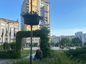Nám.sv.Františka| — foto 15