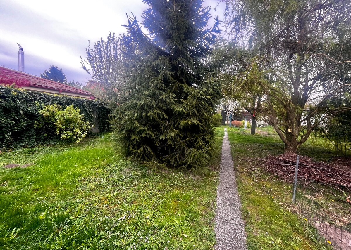 Stavebný pozemok - Rusovce — foto 3
