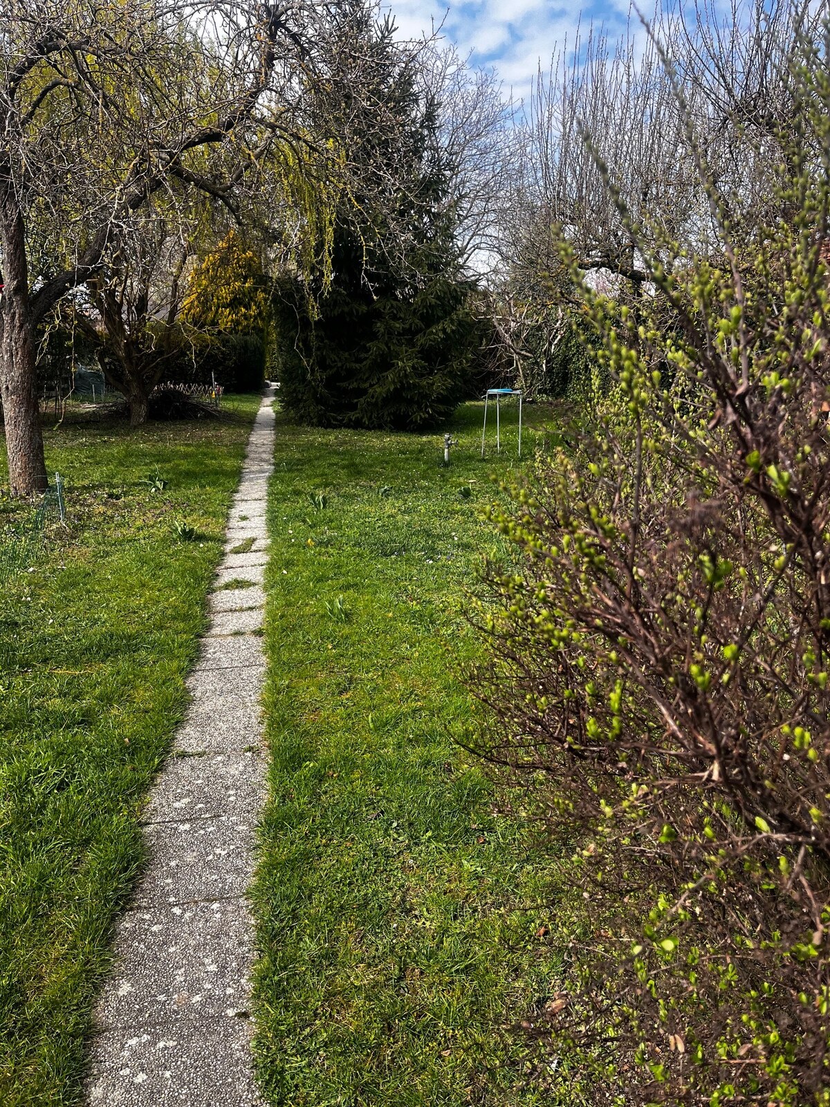 Stavebný pozemok - Rusovce — foto 4