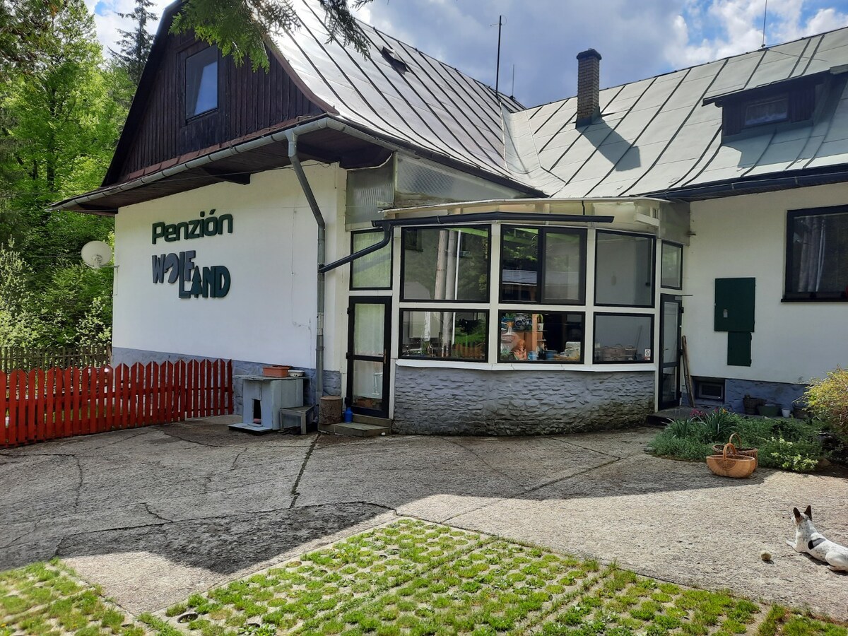 Zabehnutý rodinný penzión s celoročným využitím — foto 28