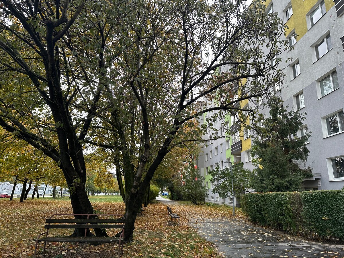 MEDVEDOVEJ |4-IZBOVÝ BYT | VÝBORNÁ LOKALITA NA ZAČIATKU PETRŽALKY | — foto 14