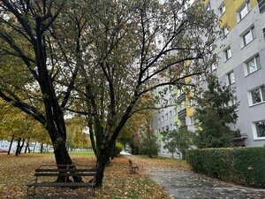 MEDVEDOVEJ |4-IZBOVÝ BYT | VÝBORNÁ LOKALITA NA ZAČIATKU PETRŽALKY | — foto 14