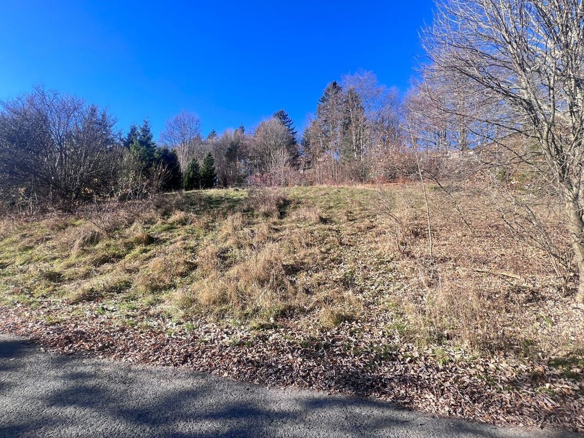 Exkluzívne na predaj pozemok - Donovaly P006ZL — foto 3