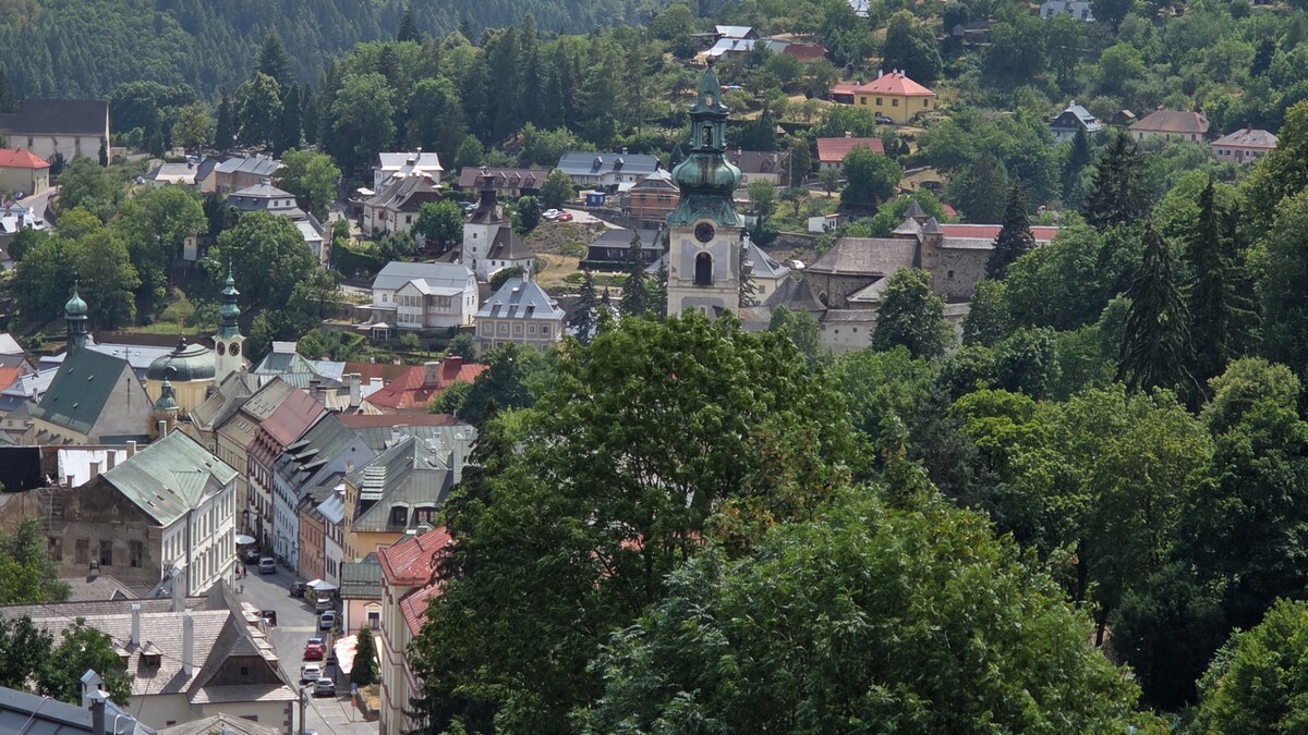 Predaj rekreačného pozemku v obci Banská Štiavnica P020JP — foto 11