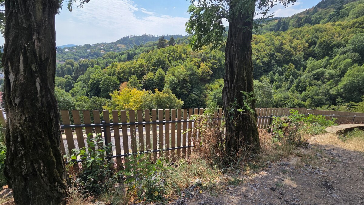 Predaj rekreačného pozemku v obci Banská Štiavnica P020JP — foto 12