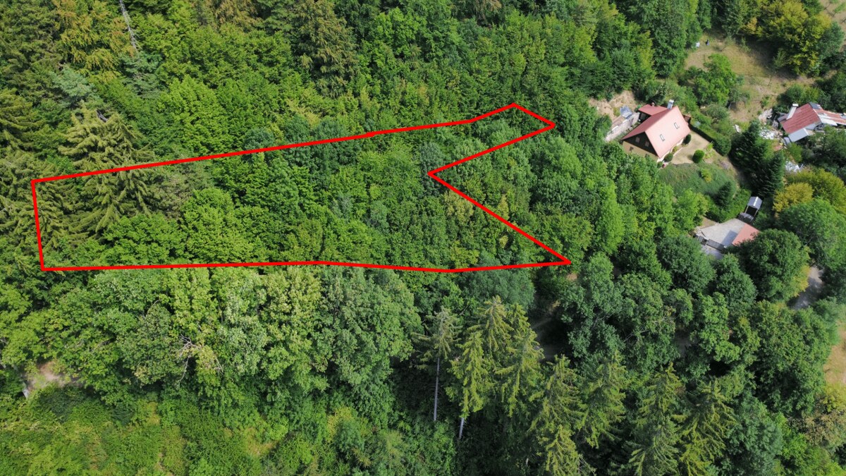 Predaj rekreačného pozemku v obci Banská Štiavnica P020JP — foto 2