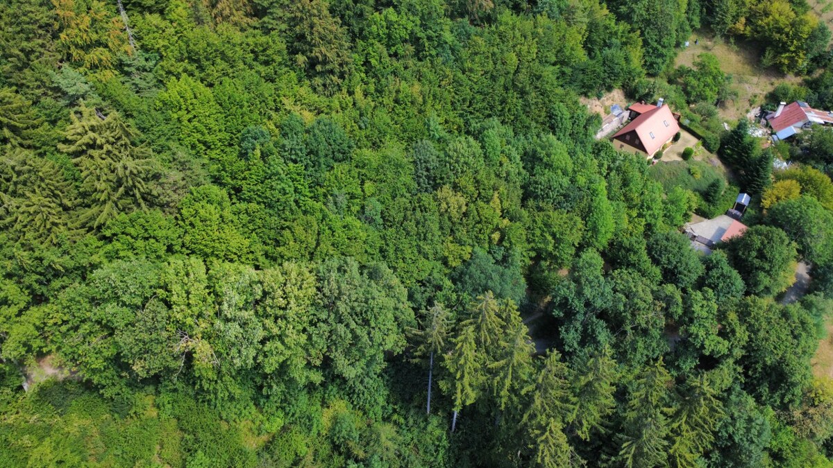 Predaj rekreačného pozemku v obci Banská Štiavnica P020JP — foto 5