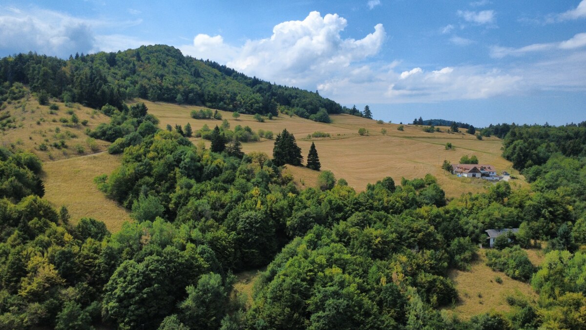 Predaj rekreačného pozemku v obci Banská Štiavnica P020JP — foto 9