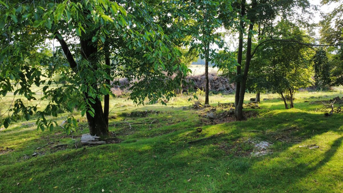NÍZKA CENA/Na predaj pozemok - Detva/Kalamárka- P003JP — foto 10