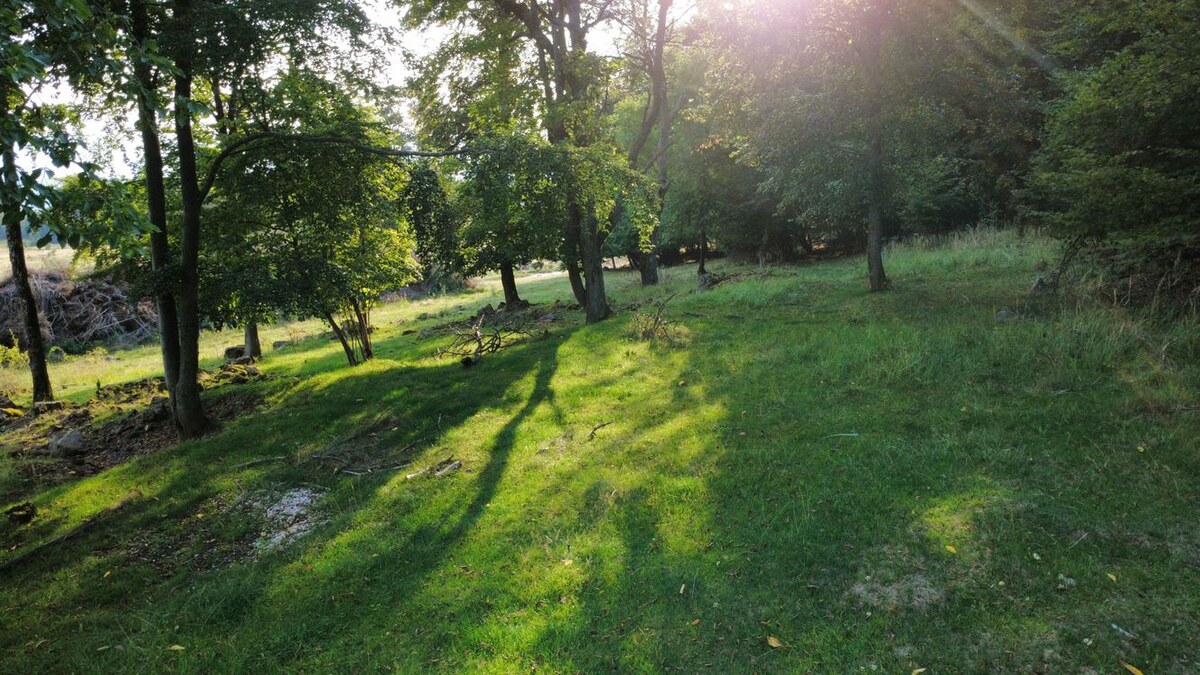 NÍZKA CENA/Na predaj pozemok - Detva/Kalamárka- P003JP — foto 11