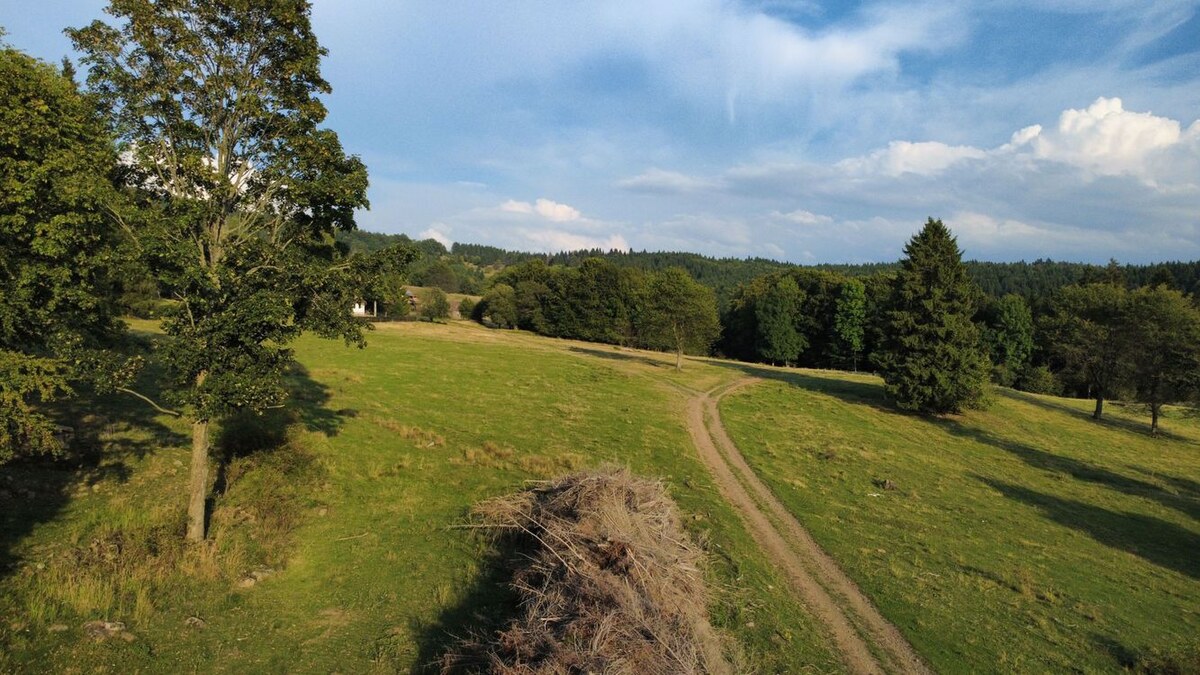 NÍZKA CENA/Na predaj pozemok - Detva/Kalamárka- P003JP — foto 2