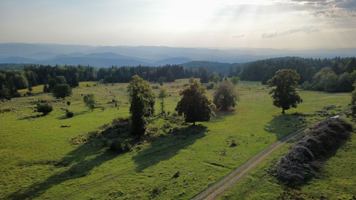 NÍZKA CENA/Na predaj pozemok - Detva/Kalamárka- P003JP — foto 6