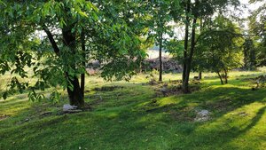 NÍZKA CENA/Na predaj pozemok - Detva/Kalamárka- P003JP — foto 10