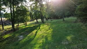 NÍZKA CENA/Na predaj pozemok - Detva/Kalamárka- P003JP — foto 11