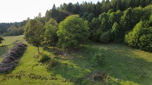 NÍZKA CENA/Na predaj pozemok - Detva/Kalamárka- P003JP — foto 3