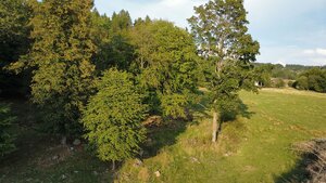 NÍZKA CENA/Na predaj pozemok - Detva/Kalamárka- P003JP — foto 4