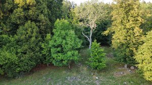 NÍZKA CENA/Na predaj pozemok - Detva/Kalamárka- P003JP — foto 9