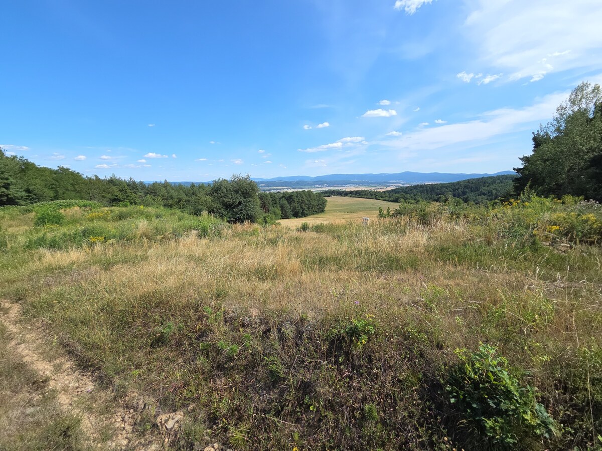 NÍZKA CENA/ŽIADANÁ LOKALITA Predaj stavebného pozemku Badín -P019JP — foto 13