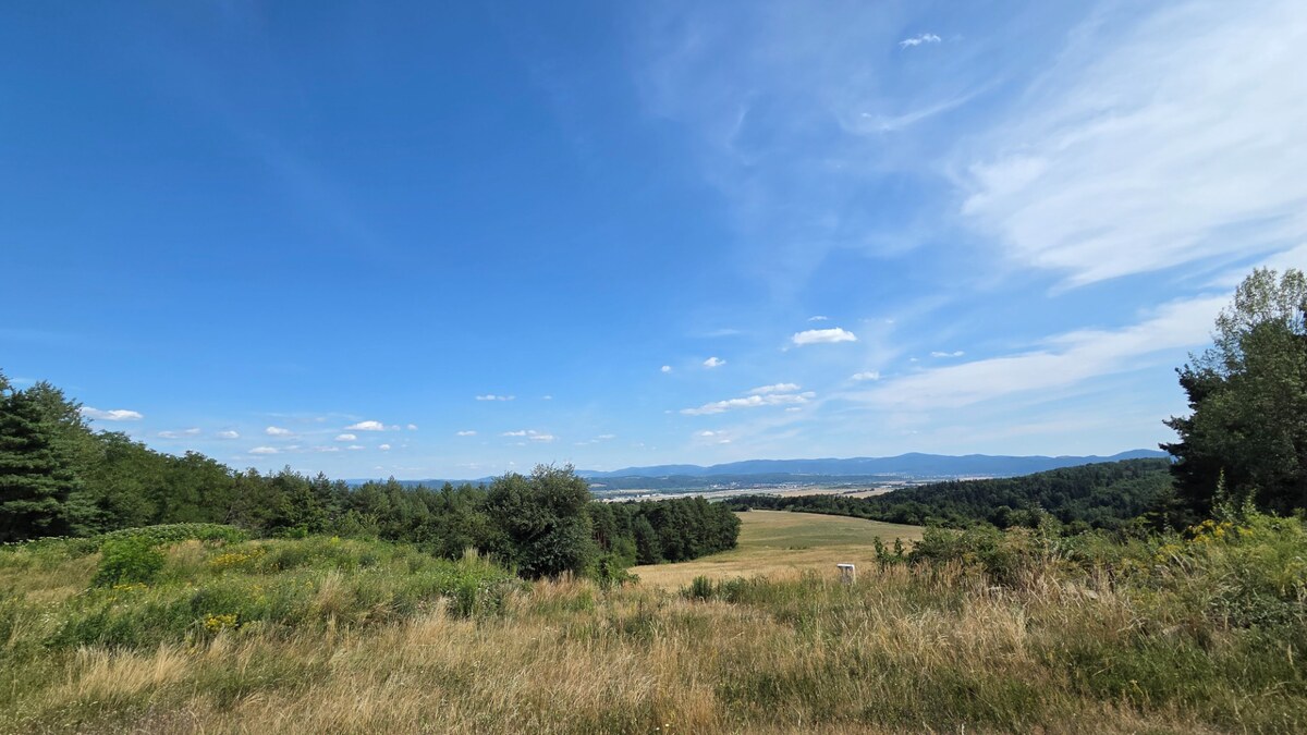 NÍZKA CENA/ŽIADANÁ LOKALITA Predaj stavebného pozemku Badín -P019JP — foto 5
