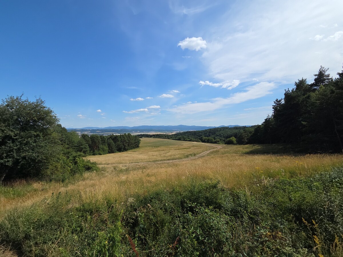 NÍZKA CENA/ŽIADANÁ LOKALITA Predaj stavebného pozemku Badín -P019JP — foto 7