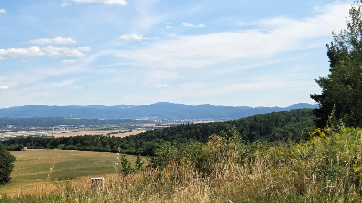 NÍZKA CENA/ŽIADANÁ LOKALITA Predaj stavebného pozemku Badín -P019JP — foto 8