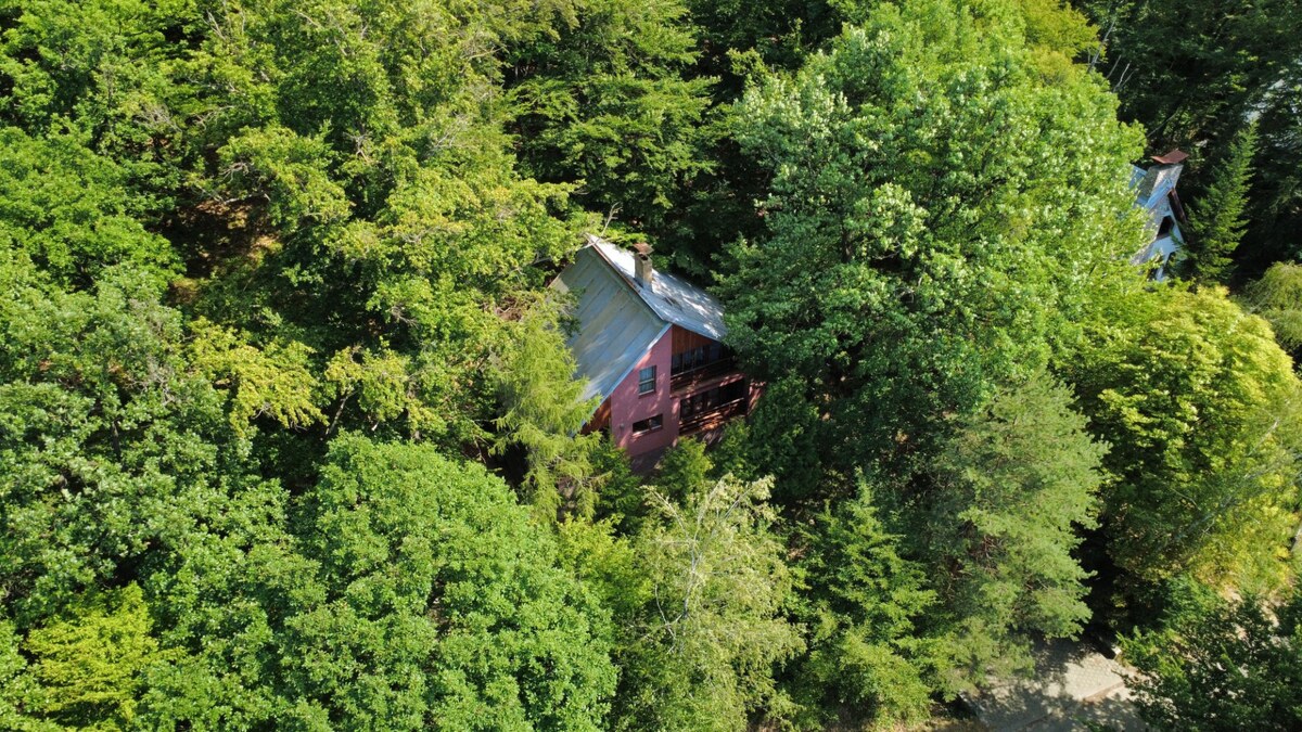 INVESTIĆNÁ PRÍLEŹITOSŤ/REKREAČNÝ DOM PRI VODE - Ružiná - 4RD018JP — foto 4