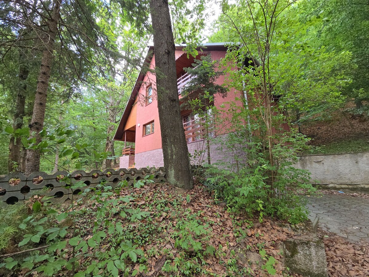 INVESTIĆNÁ PRÍLEŹITOSŤ/REKREAČNÝ DOM PRI VODE - Ružiná - 4RD018JP — foto 6