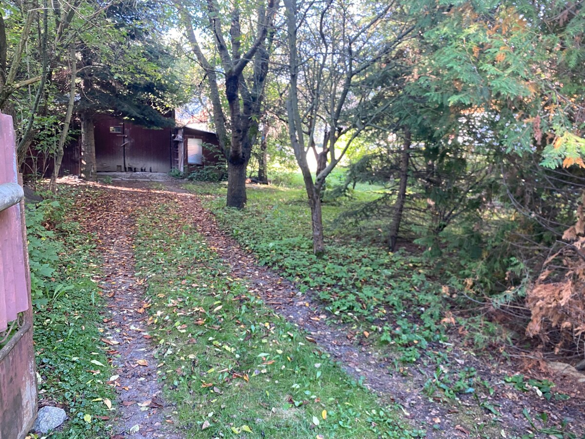 Stavebný ,slnečný pozemok V Liptovskej Porúbke 693m2 — foto 6