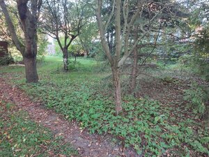 Stavebný ,slnečný pozemok V Liptovskej Porúbke 693m2 — foto 5