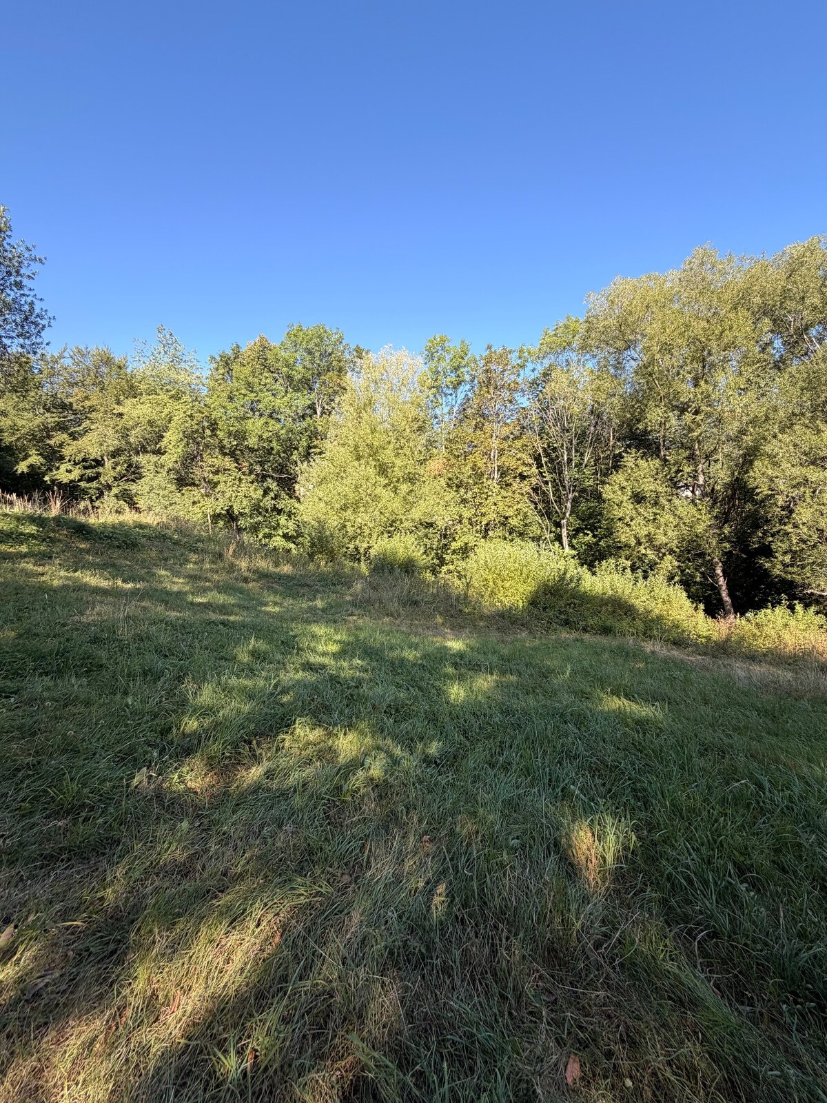 Vysnívané bývanie v prírode – stavebný pozemok 1 009 m², Králiky — foto 2