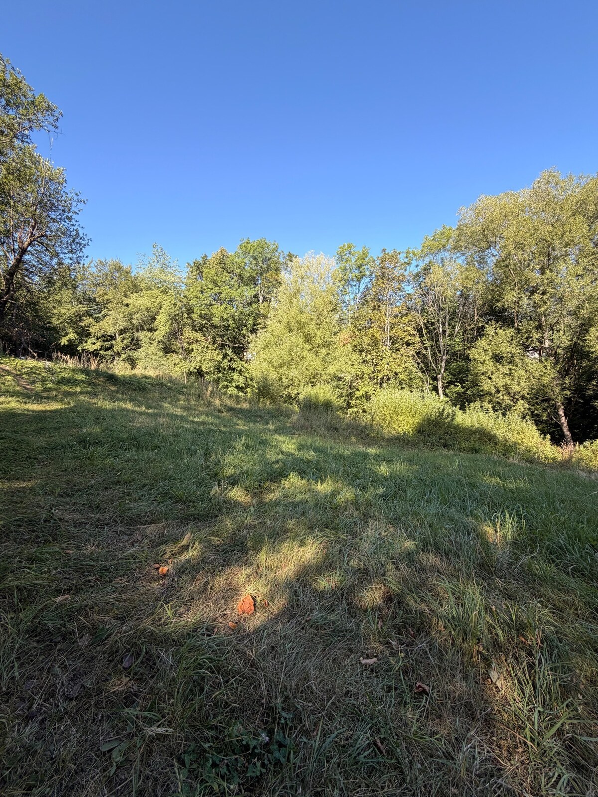 Vysnívané bývanie v prírode – stavebný pozemok 1 009 m², Králiky — foto 3