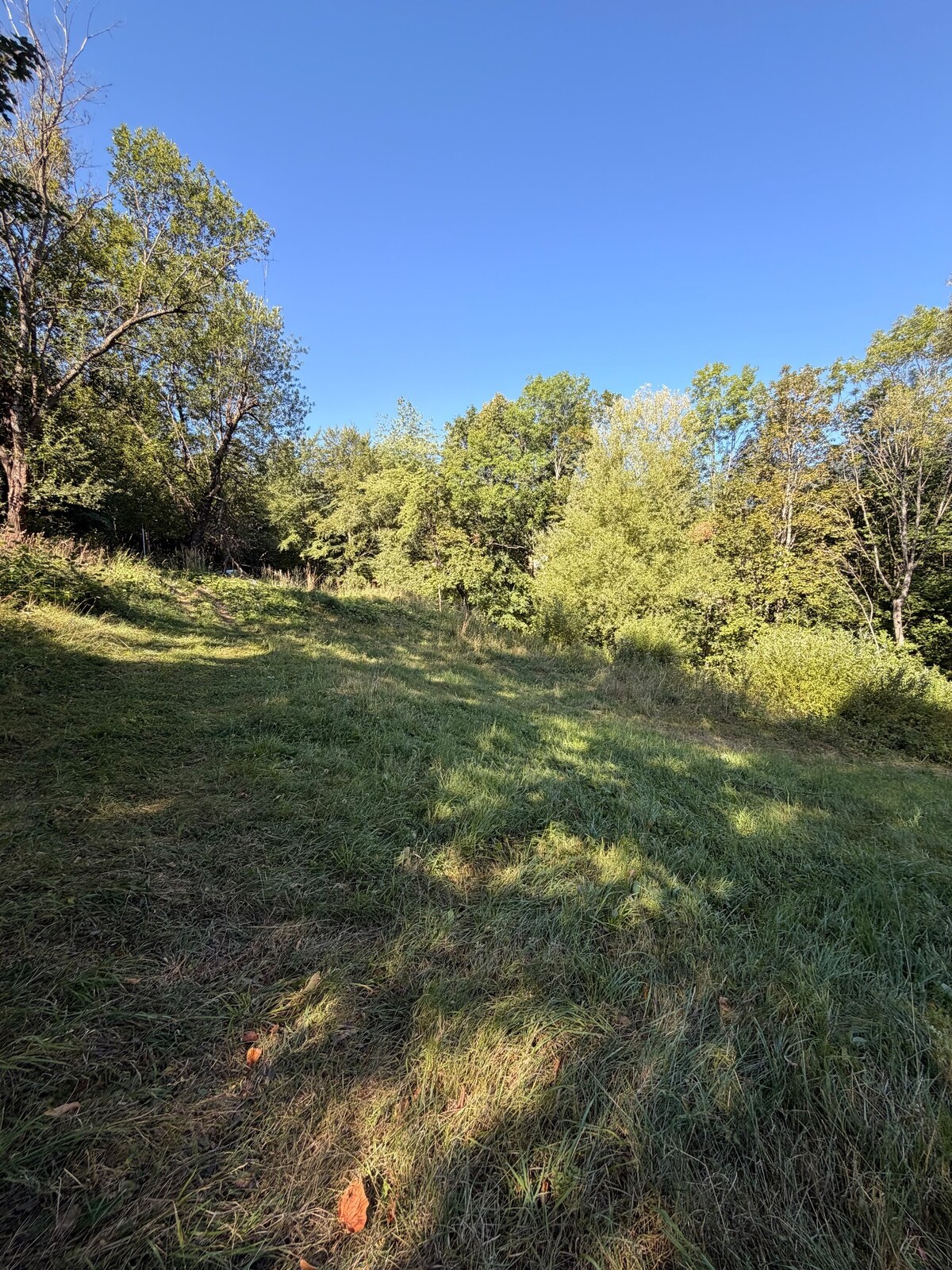 Vysnívané bývanie v prírode – stavebný pozemok 1 009 m², Králiky — foto 6
