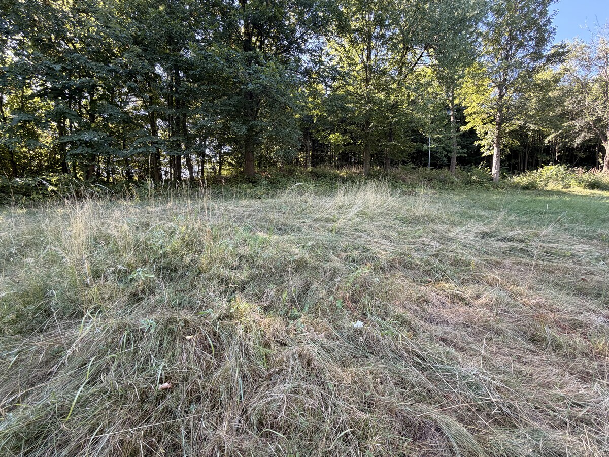 Vysnívané bývanie v prírode – stavebný pozemok 1 009 m², Králiky — foto 8