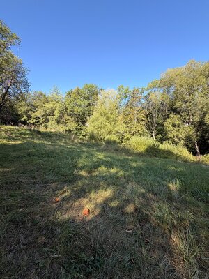 Vysnívané bývanie v prírode – stavebný pozemok 1 009 m², Králiky — foto 3