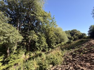 Vysnívané bývanie v prírode – stavebný pozemok 1 009 m², Králiky — foto 7
