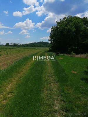 Na predaj záhradný pozemok - Michalovce časť Topoľany — foto 8