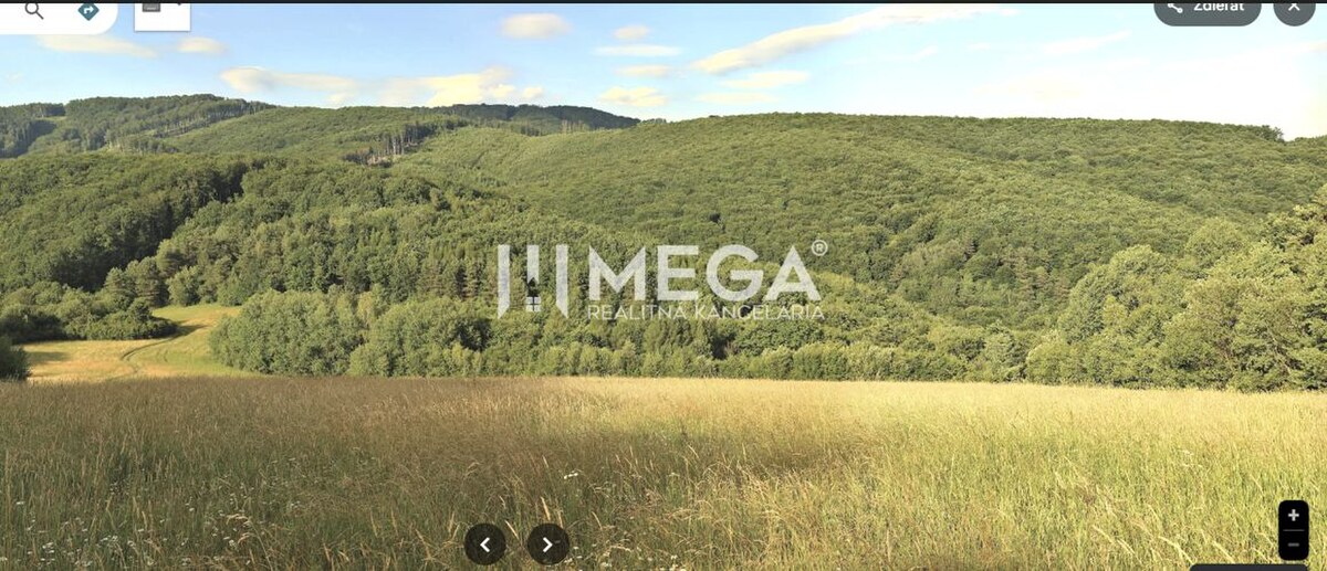 TOP CENA NA PREDAJ LESNÉ POZEMKY 7,8 ha MAŠKOVCE-DEDAČOV — foto 2