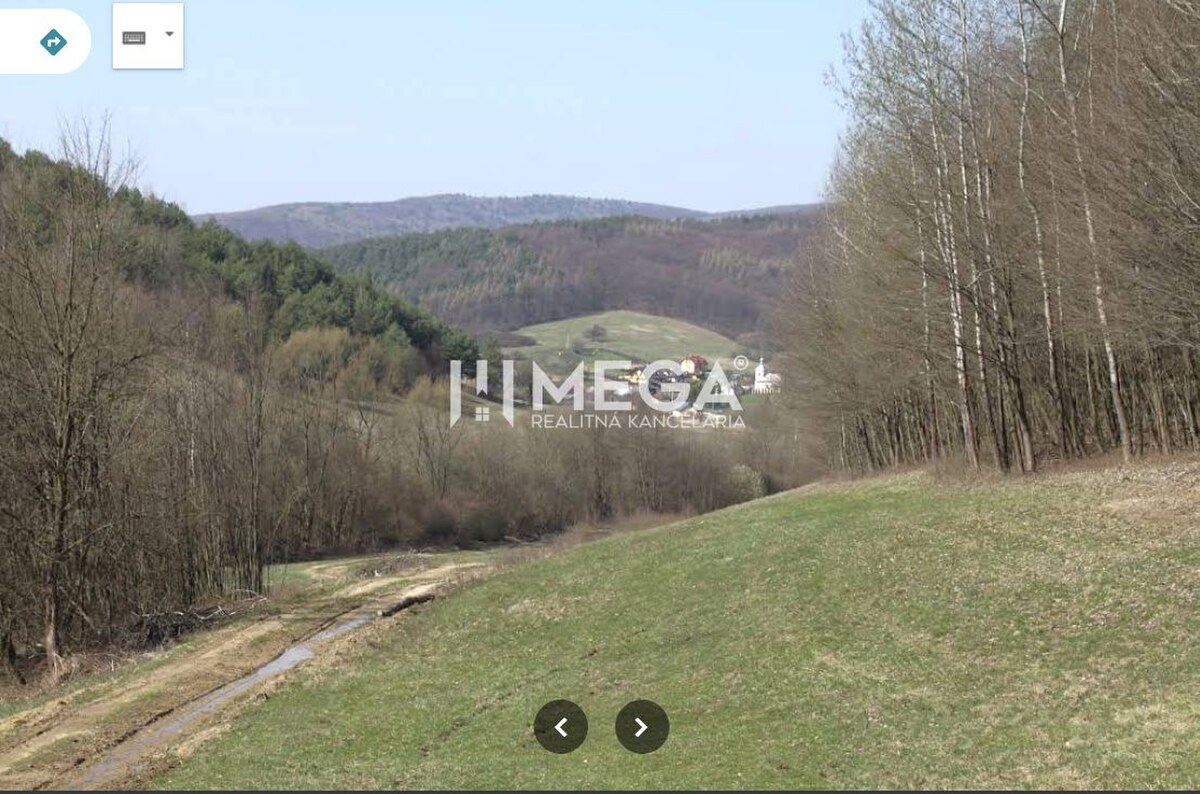 TOP CENA NA PREDAJ LESNÉ POZEMKY 7,8 ha MAŠKOVCE-DEDAČOV — foto 4