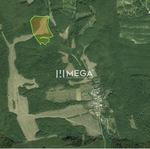 TOP CENA NA PREDAJ LESNÉ POZEMKY 7,8 ha MAŠKOVCE-DEDAČOV — foto 5