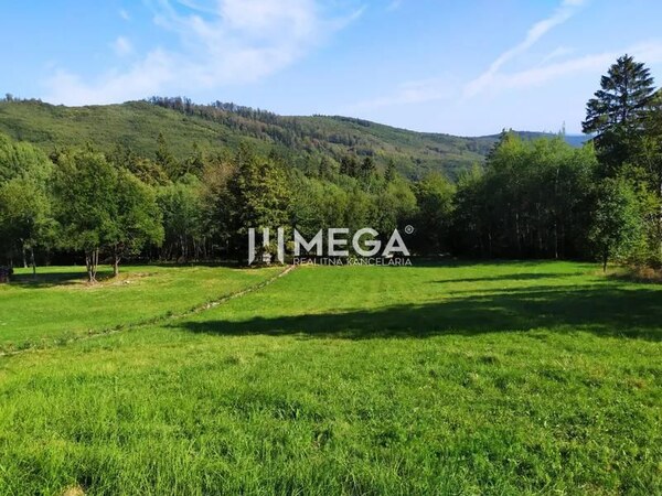 NA PREDAJ POZEMKY - k.ú. BRESTOV NAD LABORCOM SPOLU 8200 m²
