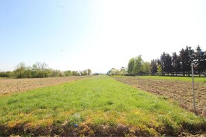 NA PREDAJ: Stavebný pozemok pri hlavnej ceste – Sačurov — foto 5