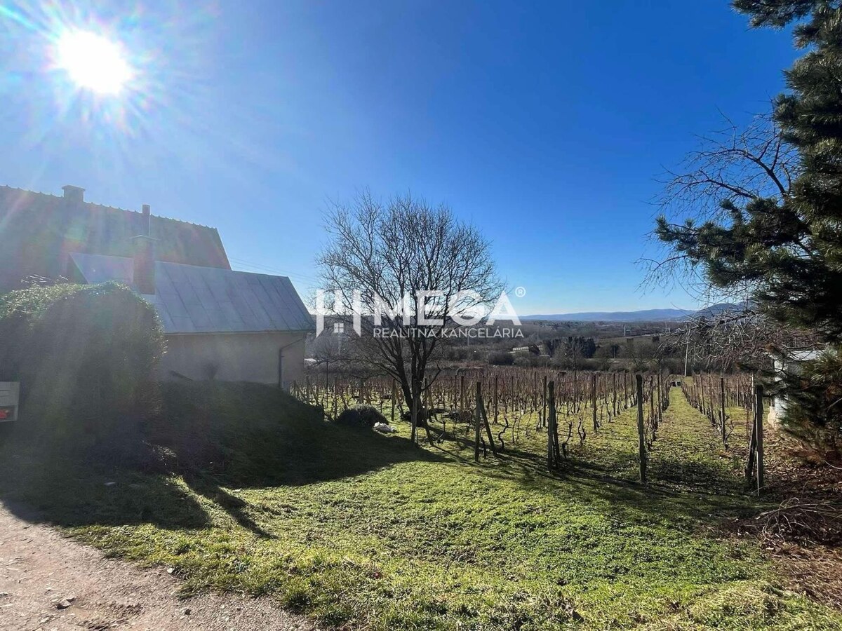 Na predaj chata s vinicou a 2 pivnicami, obec Viničky-Zajačí skok, okr — foto 2