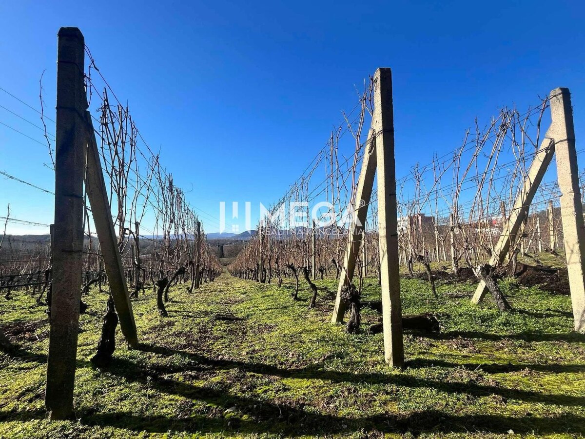 Na predaj chata s vinicou a 2 pivnicami, obec Viničky-Zajačí skok, okr — foto 4