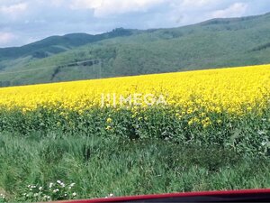 Na predaj - pozemky Kamenica nad Cirochou — foto 1
