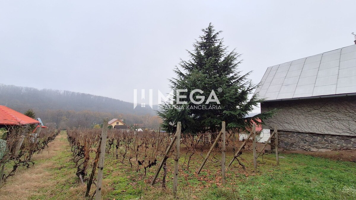 EXKLUZÍVNE NA PREDAJ Chata bez nutnosti investícií - VINNÉ — foto 20