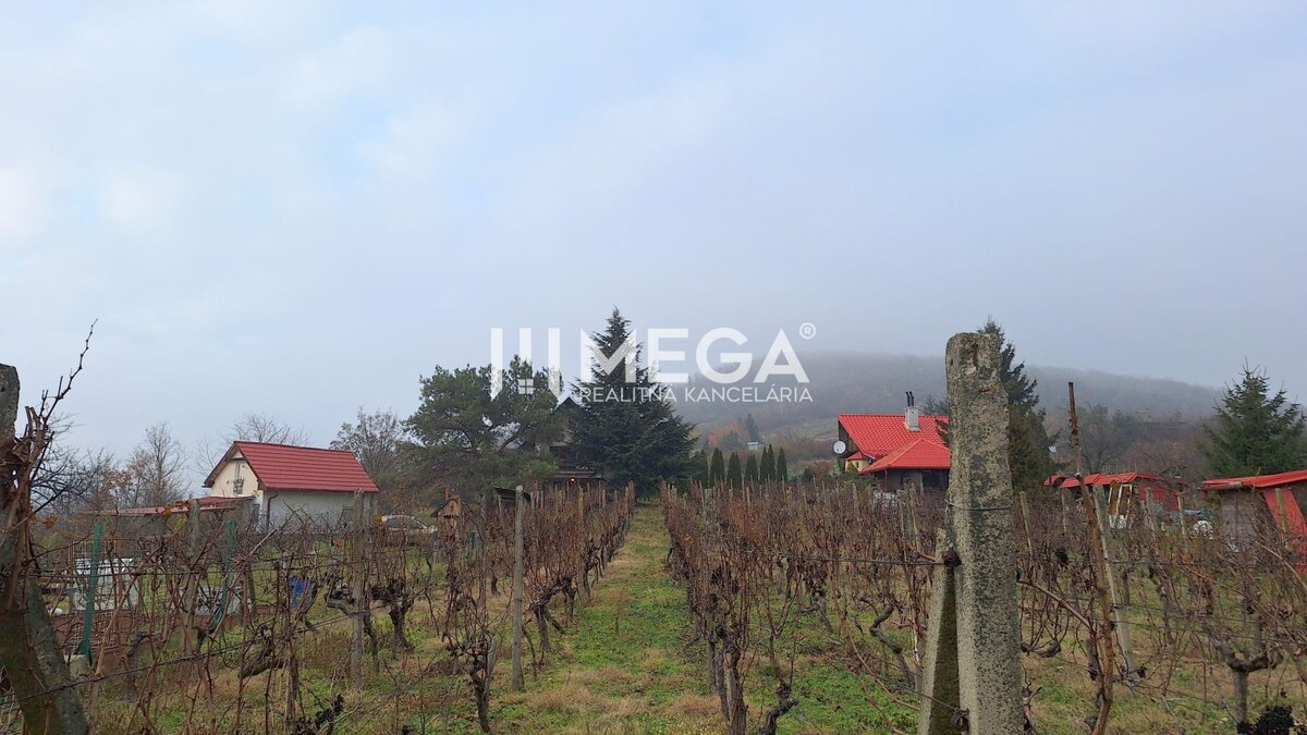 EXKLUZÍVNE NA PREDAJ Chata bez nutnosti investícií - VINNÉ — foto 4