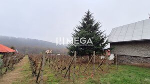 EXKLUZÍVNE NA PREDAJ Chata bez nutnosti investícií - VINNÉ — foto 20