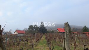 EXKLUZÍVNE NA PREDAJ Chata bez nutnosti investícií - VINNÉ — foto 4