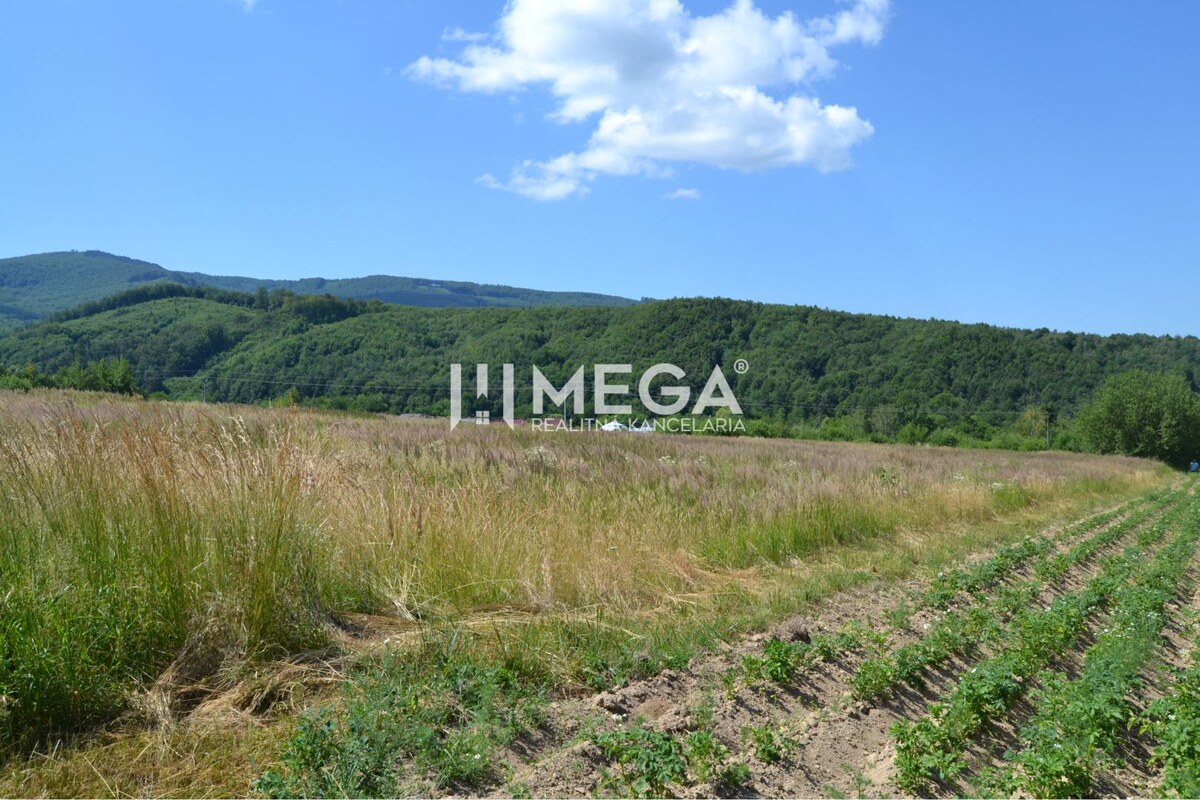 NOVÁ CENA-PREDAJ POZEMKU Zemplínske Hámre (2918 m2) — foto 2