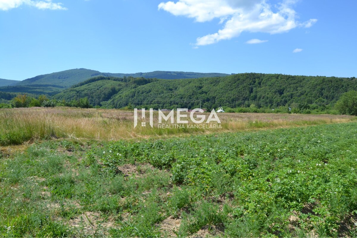 NOVÁ CENA-PREDAJ POZEMKU Zemplínske Hámre (2918 m2) — foto 3